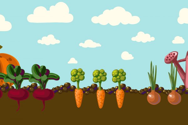 Vintage garden banner with root veggies vector illustration