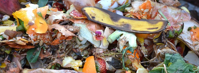 Symbolbild Kompost